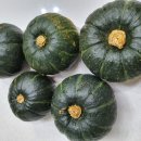 더밤농산 이미지