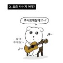 내포비료 | 퇴사 후, 나는 나무가 되기로 했다
