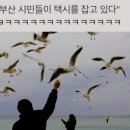 하이오커피부산 - 금정구 부곡로 123 | 하이오커피부산