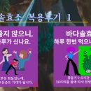 바다솔 이미지