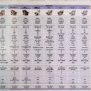 사랑 의료기기 | 바디프랜드 안마의자 "메디컬 팬텀" (의료기기)