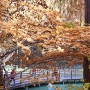 힐링(장태산) 이미지