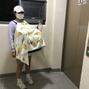 24시 수유 바른펫 동물의료센터 이미지