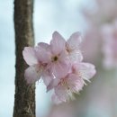 시장추어탕 이미지