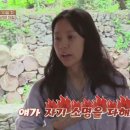 디스민박 이미지