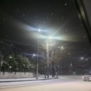 광주060 | 결혼 1주년여행 삿포로 5박6일 1일차 , 네무로 하나마루, 동구리빵집, 라멘 겐텐 소노2,긴타코