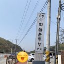 화심순두부본점 이미지