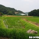 화성OK부동산공인중개사사무소 이미지