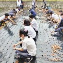 흥선농장 이미지