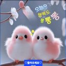 너 실로 예쁘다 이미지