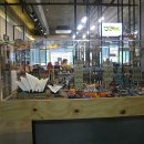 라쿤샾