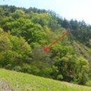 김삿갓면-41 이미지