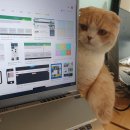 세무회계컨설팅평 이미지