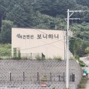 보니하니 | [ 가평 애견펜션 ] 보니하니애견펜션 두번째 방문 후기