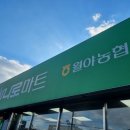 월야마트 이미지