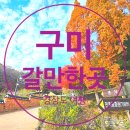 구미시 재활용품 전시판매장 | 경북 구미 갈만한곳 박정희 대통령 생가 ( ft. 경상도 여행 )