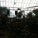 새집만석꾼 이미지