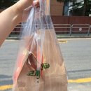 주말오전 성수[코끼리베이글] 포장 후기
