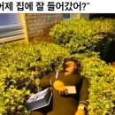 채우린
