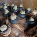 흙이랑별 이미지