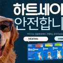 맘편한 동물약국 이미지