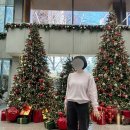 몽키36 | 단톤 일본직구 후기::: 단톤 크루넥 니트 딸기우유🍓 30% 할인:: 44사이즈의 36사이즈 착샷