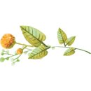 4공단 우체국 화장실 이미지