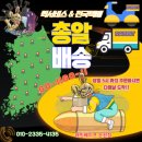 엠에스(MS)77 | 래빗 베이프 논현점 ( 노보리퀴드 엠에스블랜드 입호흡 액상) 소개!