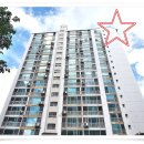 선주리들 이미지