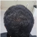 유지도트 이미지