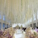 쪼이참치 | 메종디탈리 1월 하객 후기✨