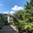 조훈치과의원 이미지