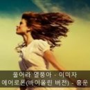 에어로폰AE-30 - 울어라 열풍아(이미자) 이미지