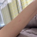UR(파주시)-[금바위로]-하-10 | 파주 운정와이즈병원 산부인과 가진통겪고 제왕절개 후기