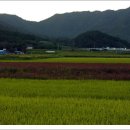 쇠똥구리 마을 이미지