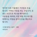소설가 | 시간을 달리는 소설가 불호후기