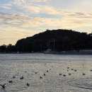 구영해수욕장 | 군산 1박2일 가볼만한 곳 맛집 데이트코스 드라이브코스 포토스팟 정리 및 추천