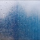 일경