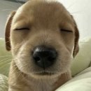 (주) 투파이브듀 | 내 취향 가득 담은 집꾸미기🛏️ 🤍