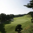 태광교통 이미지