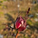 2025년 12월 28일 일요일 출석부 이미지
