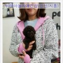 바둑아놀자 이미지