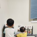 아이로제주 | 아이들과 제주여행 후기 꿀팁 정리