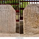 반야사 소장 전적류-법집별행록절요병입사기 | 비석 「영천 청제비」 국보 지정- 조선시대 궁중 행사를 기록한 병풍 및 전적･목판 6건도 각각 보물 지정