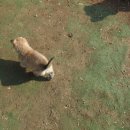 벌말농원 이미지