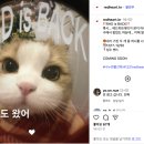 뽑기 OF LEGENDS | [12월 성수 팝업] 2025 레드하트데이 팝업스토어 총정리