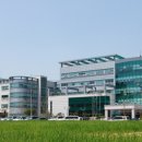 삼백육십오