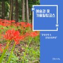 사군자와 예쁜 꽃그림(저녁) | 운림산방 &amp; 운림산림욕장 베스트 코스: 소치 작품 감상과 꽃무릇 군락지 후기 (feat. 황화코스모스 꽃밭)