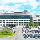 금오산로-21 머니투데이