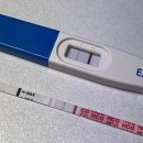 원포농장 | <시험관 5차> 3일배양 상급 동결+이란성 쌍둥이 임신!!!(이식 후 증상, 쌍둥이 피검수치, 착상 잘 되는...